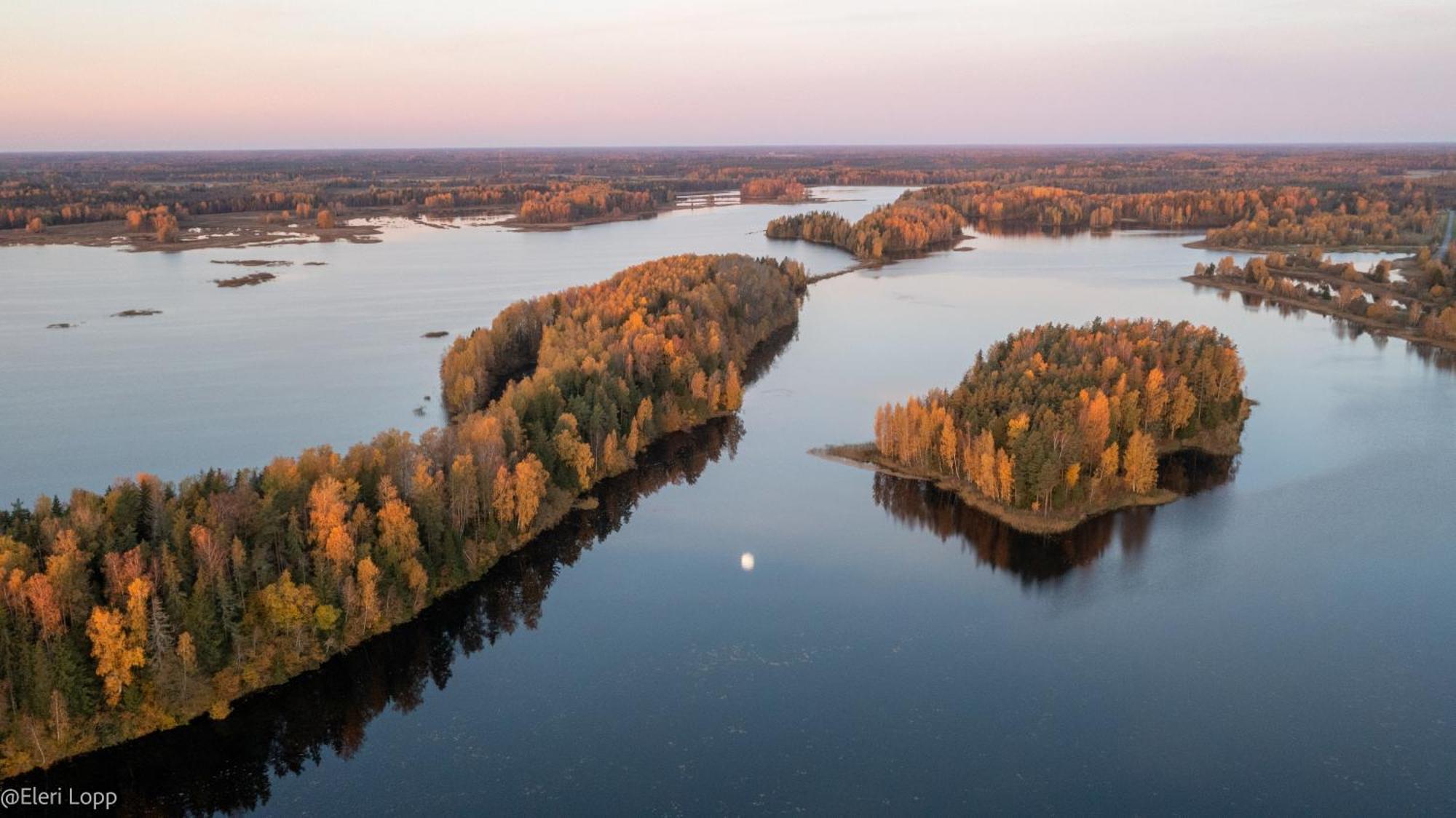 Feriehus Paunkuela Nature Kose (Harju)